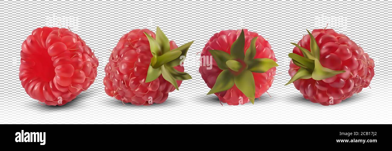 3D realistic raspberry on transparent background.Collection fresh ...