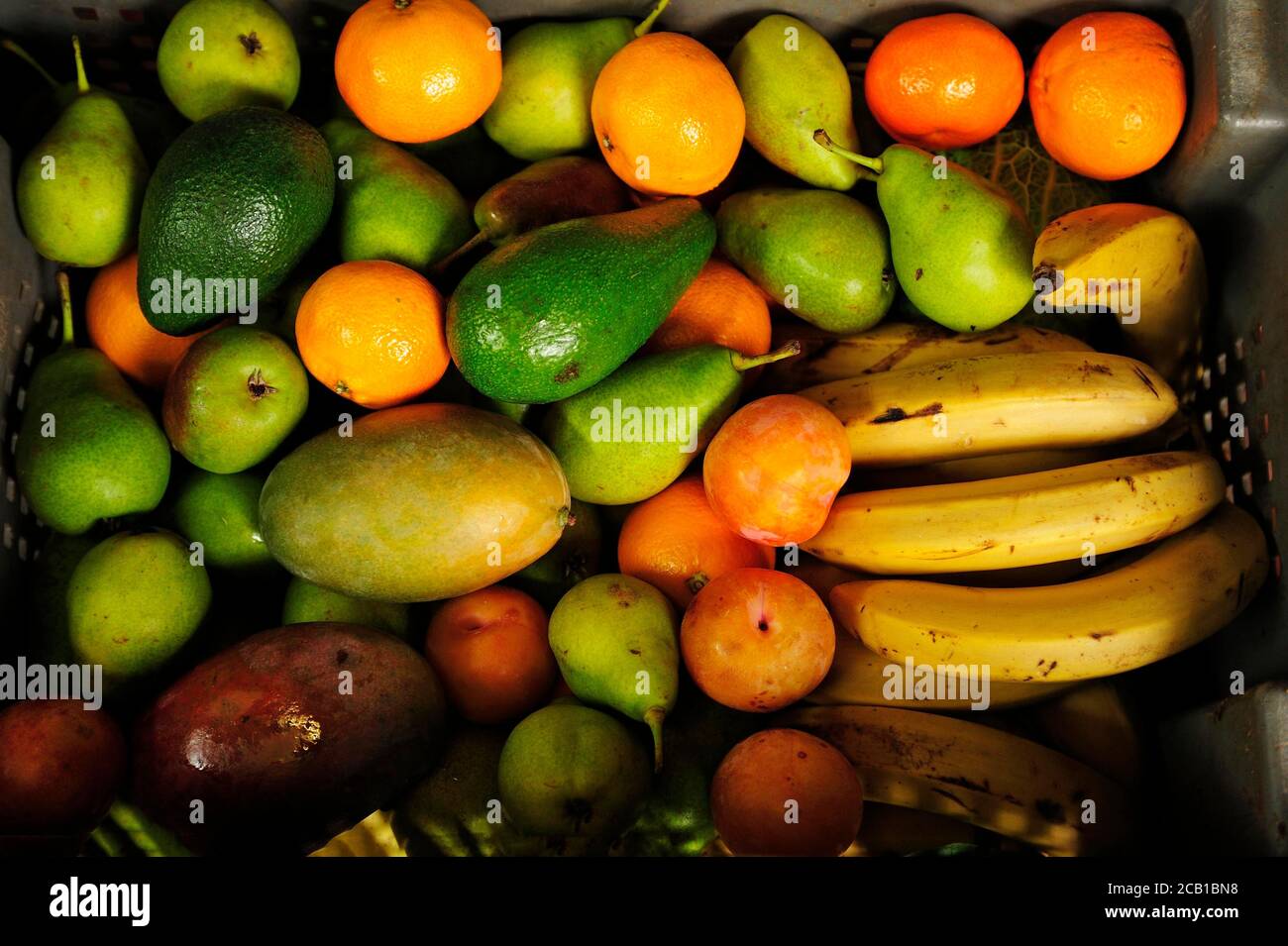 Fruit box with different fruits, animal food for the zoo Stock Photo