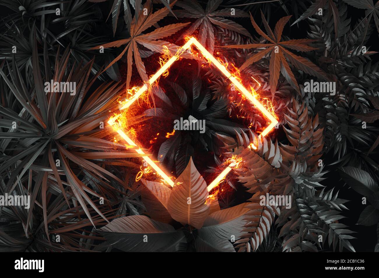 3d rendering of square rotated shape in fire over tropical plants. Flat lay of minimal nature style concept Stock Photo