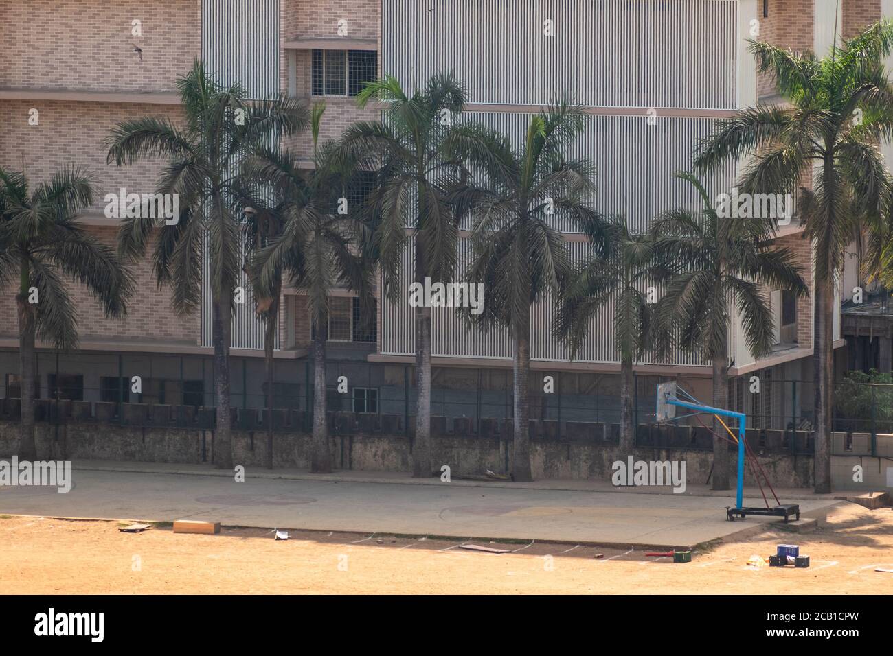 Mumbai, Maharashtra, India March 2020 Palm trees fringing a