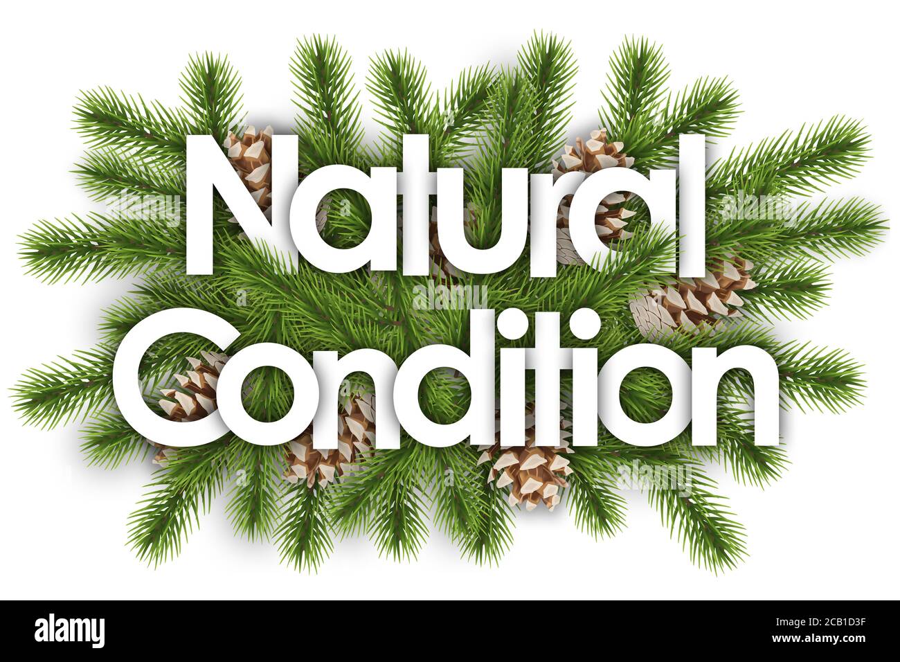 Natural Condition in christmas background - pine branchs Stock Photo