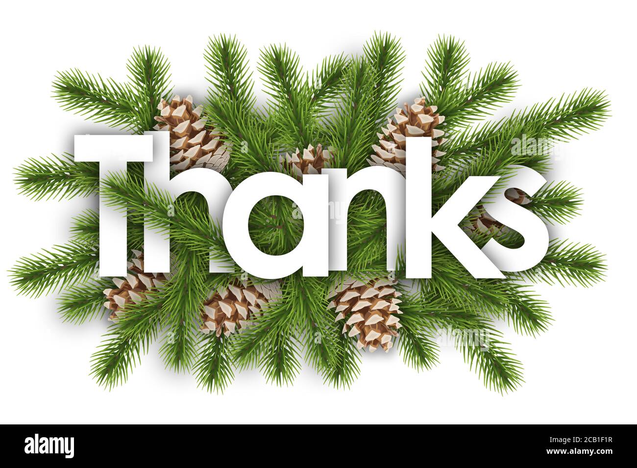 thanks in christmas background - pine branchs Stock Photo