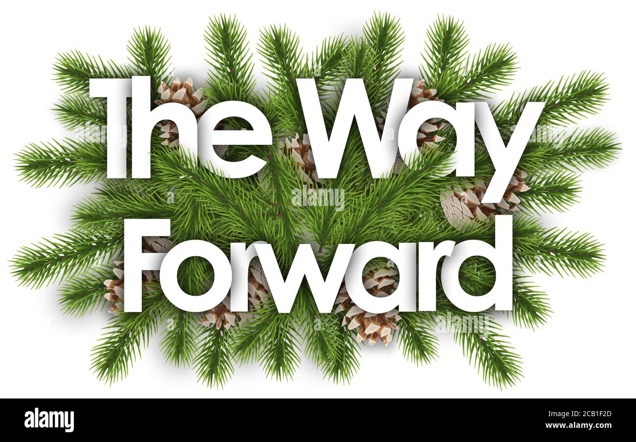 The Way Forward in christmas background - pine branchs Stock Photo