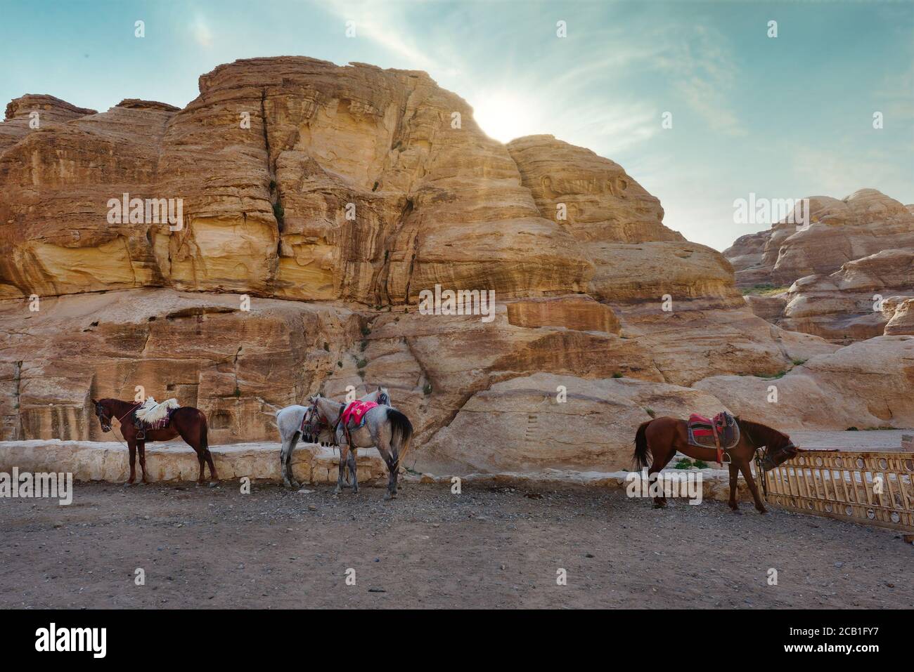 Horse with tasseled saddle in the entrance to Petra, Jordan Stock Photo