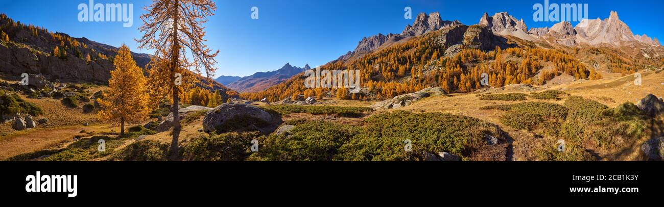 The Claree Upper Valley in full Autumn colors with golden larch trees and the Cerces Massif mountain range. Laval, Hautes-Alpes (05), Alps, France Stock Photo