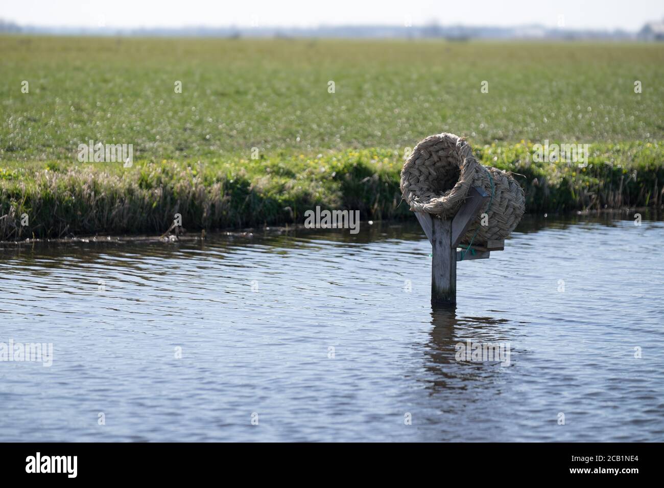 Wicker duck basket on a wooden post in a ditch, mirrored in water, an ideal hiding and breeding place for wild ducks and other water birds Stock Photo