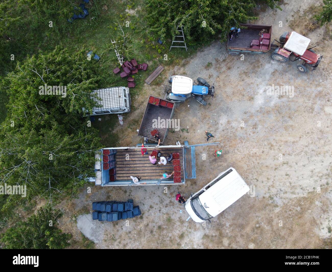 The cherry harvest is loaded onto the truck to be sold in the market. Aerial view Stock Photo