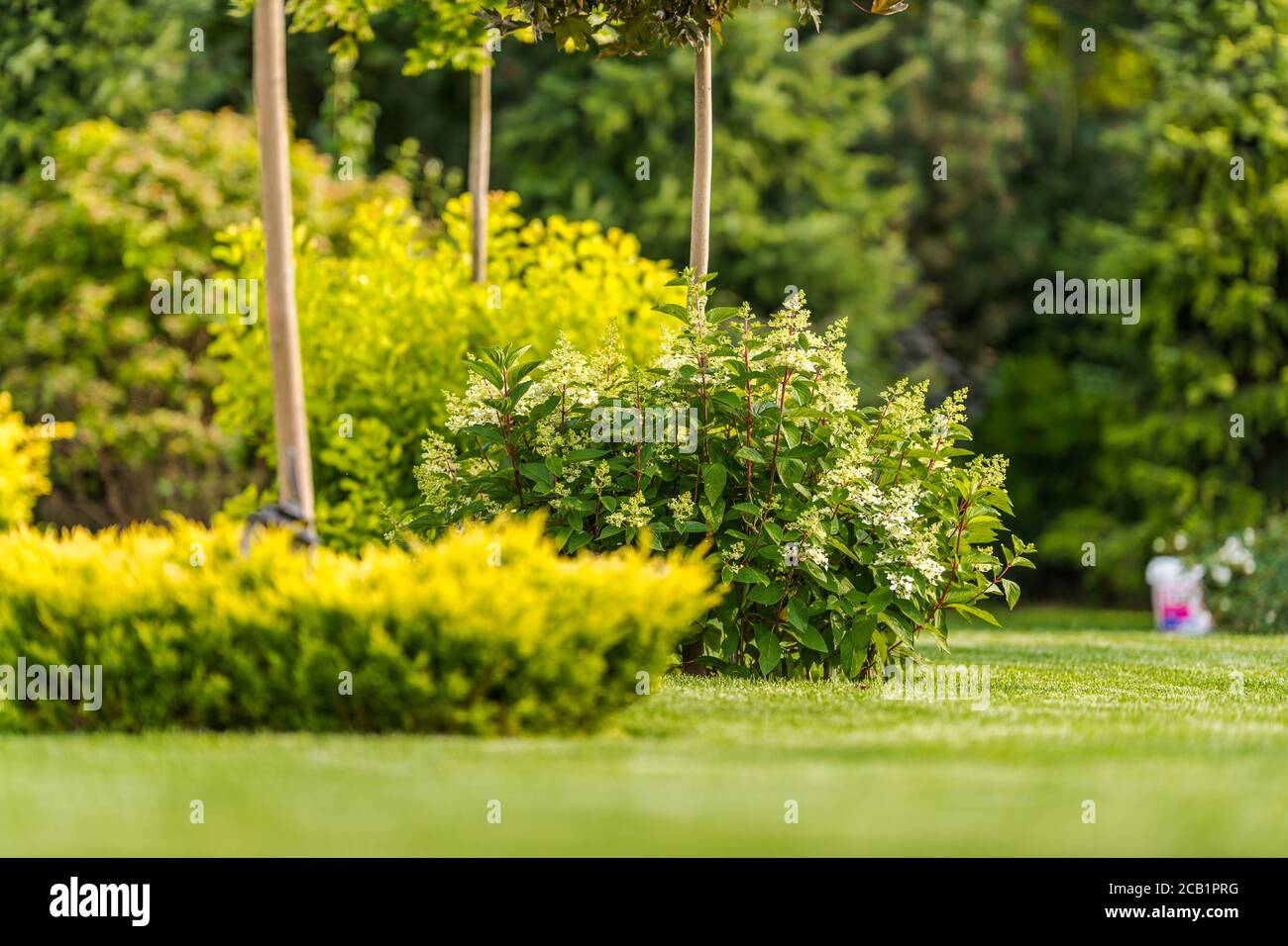 Beautiful Lush Landscaping Design Of Backyard Garden With Well