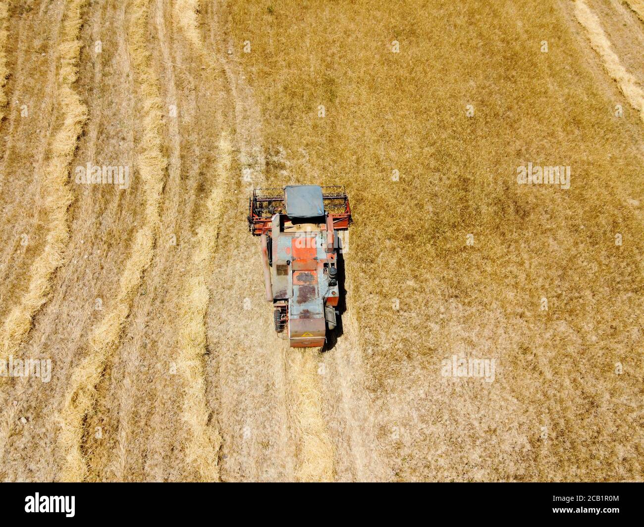 Aerial view of harvested wheat field in Turkey. Wheat harvest in the summer. Stock Photo