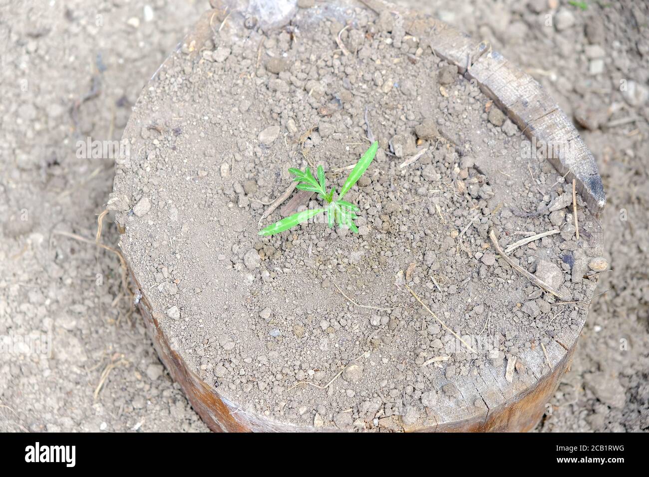 30 Interior Design Styles You Need to Know in 2026 - House Beautiful