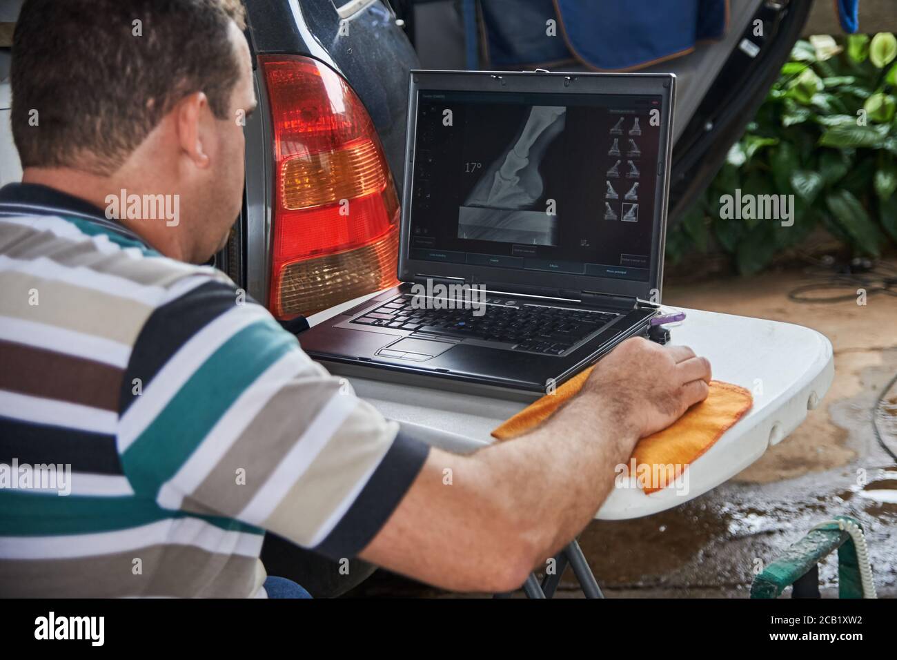 Vet checking equine hoof XRays (laminitis) in a laptop Stock Photo Alamy