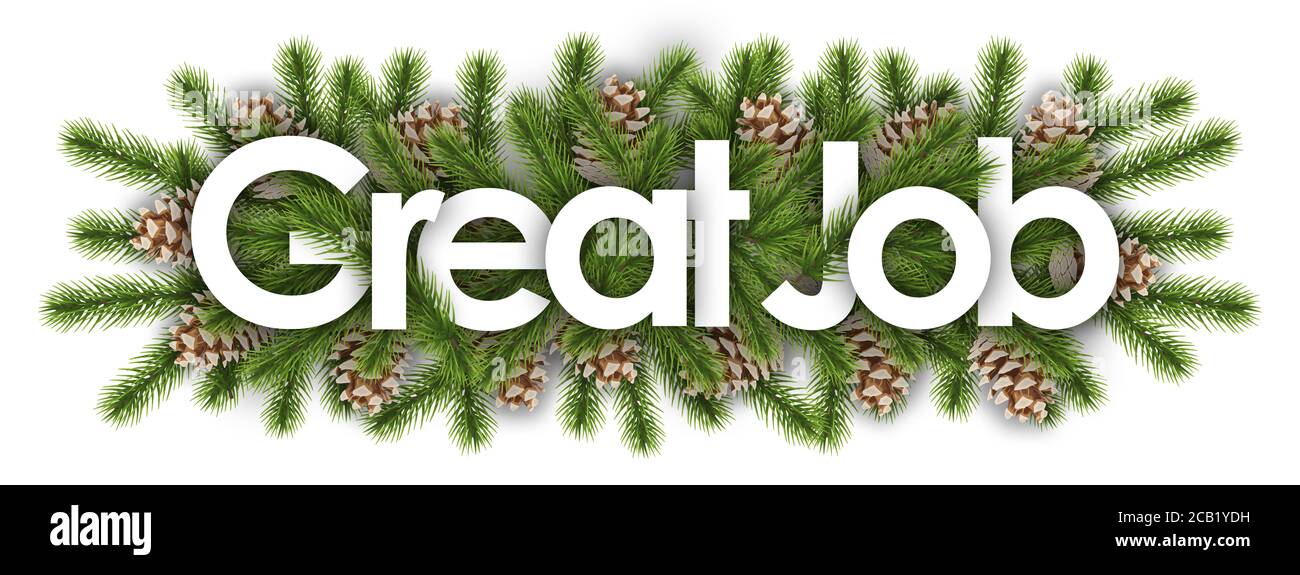 great job in christmas background - pine branchs Stock Photo