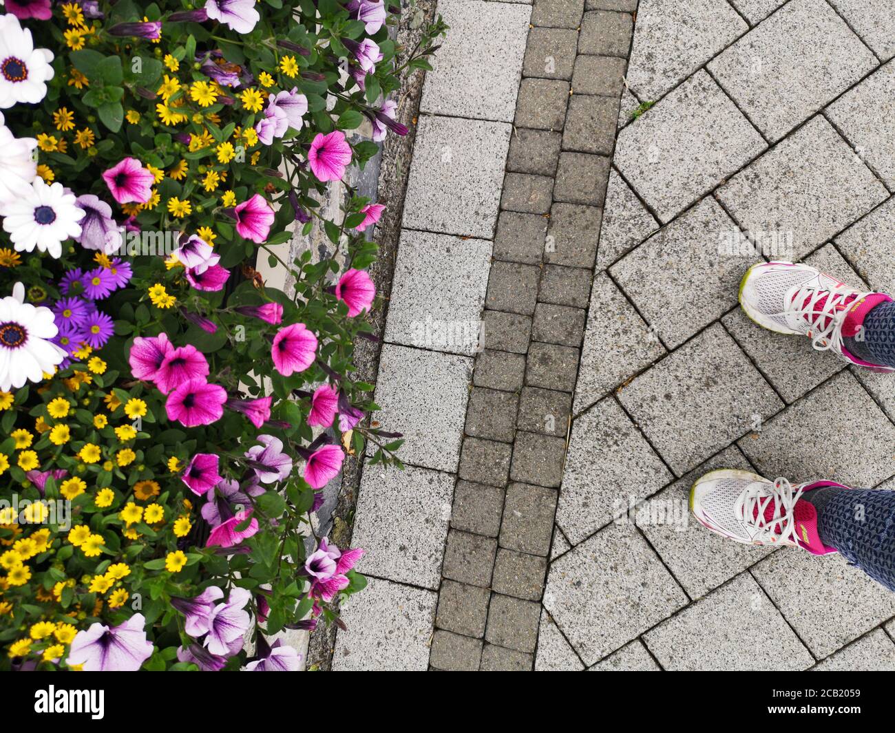 person standing next to a beautiful flower garden pot full of petunias and other lovely flowers Stock Photo