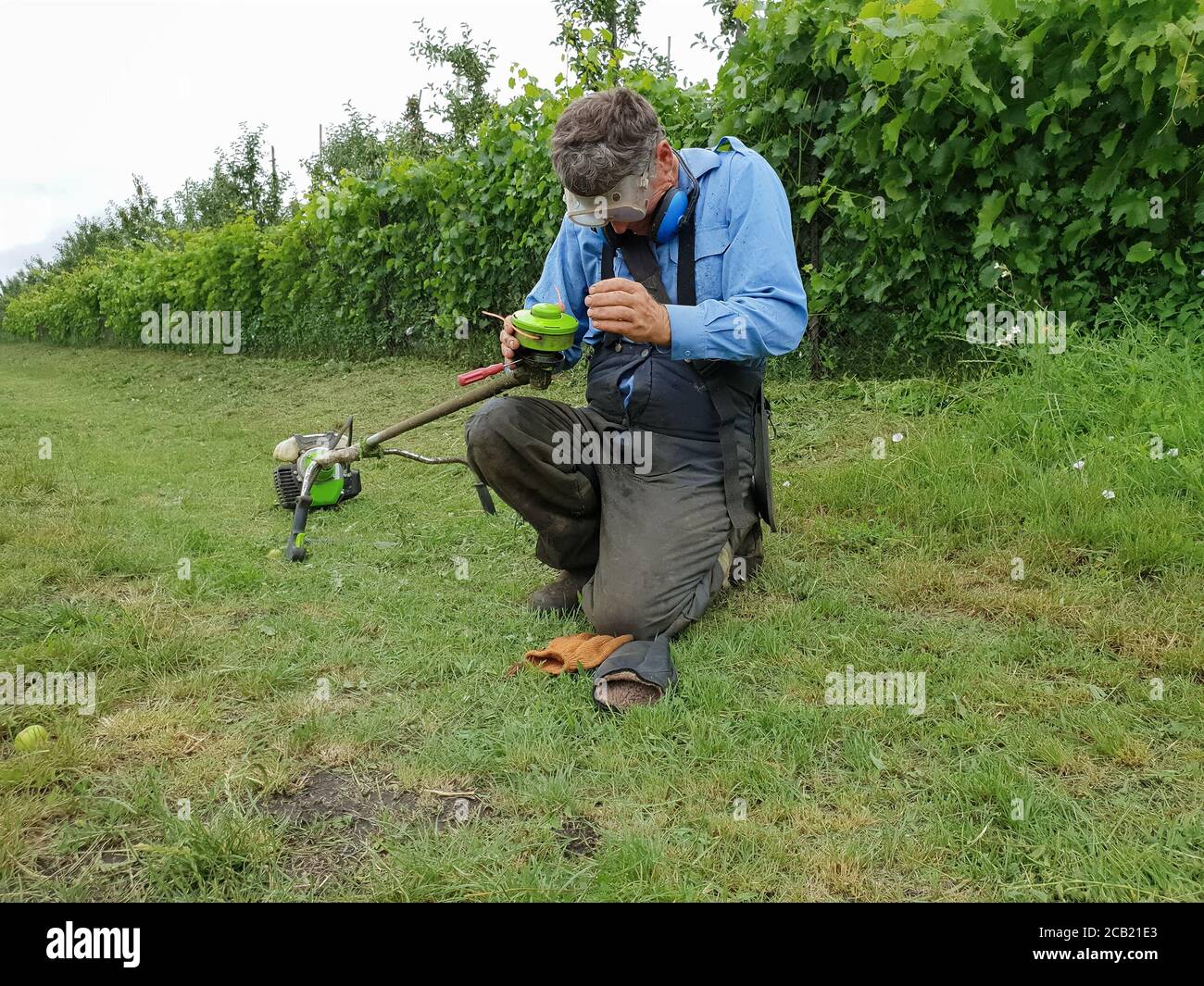 Senior man with brush cutter on the lawn against the background of bushes in workwear and goggles Stock Photo