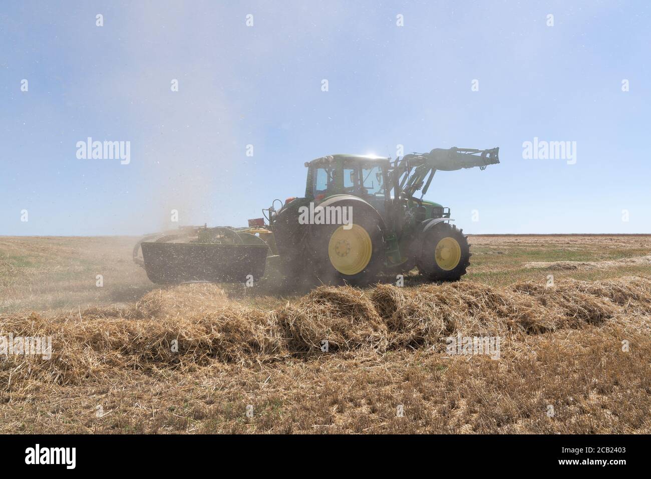 Tractor with hay rake makes rows of straw in hot summer Stock Photo