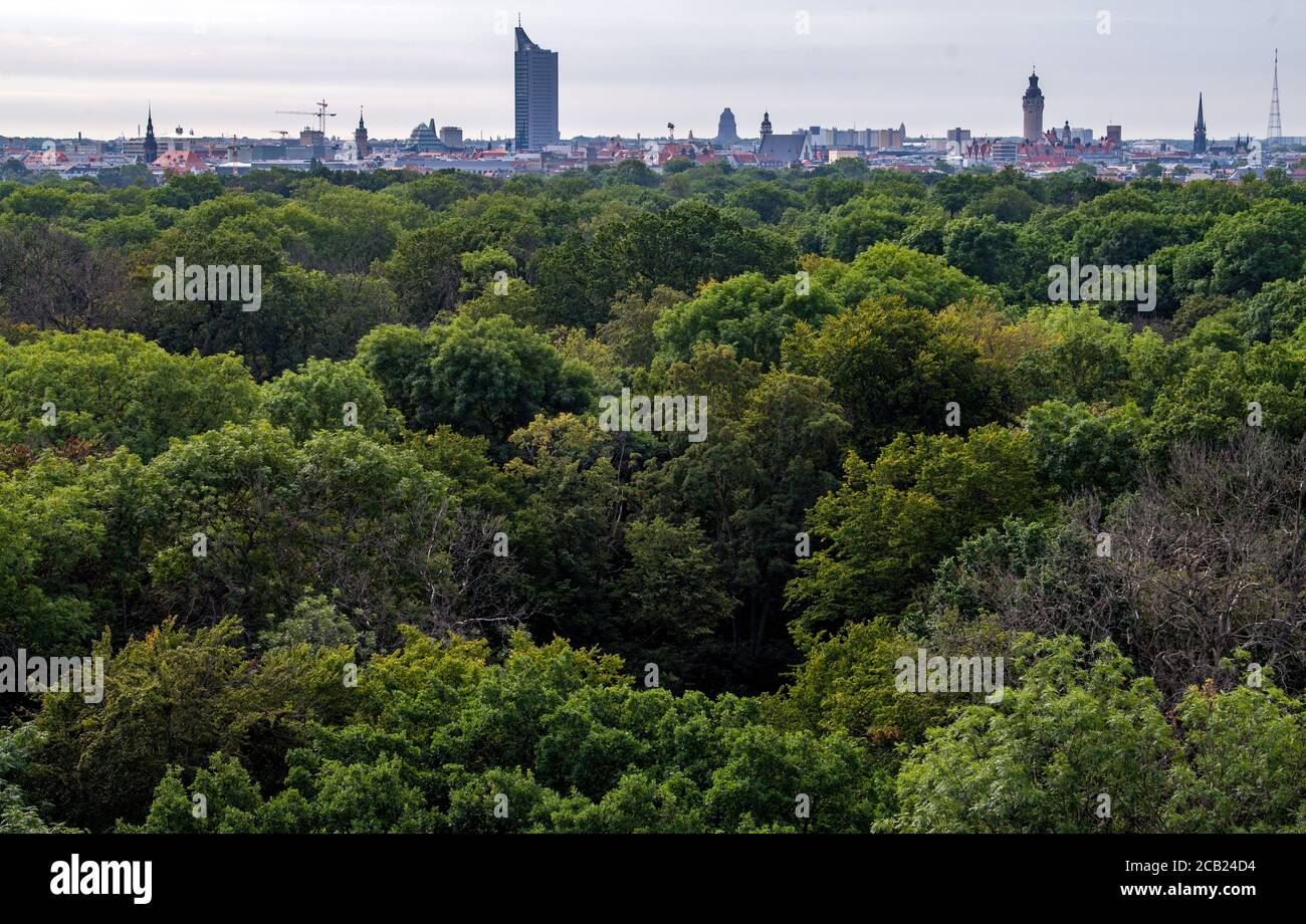 Leipzig, Germany. 05th Aug, 2020. The skyline of Leipzig can be seen on the horizon above the treetops of the Leipzig floodplain forest. The 5700 hectare floodplain forest is considered unique in Europe. However, the landscape protection area is not in good condition, the alluvial forest lacks water. If the flooding of the area continues for decades to come, the forest will change dramatically. The canal Neue Luppe, built from 1934 onwards, drains a lot of water from Leipzig very quickly. Credit: Hendrik Schmidt/dpa-Zentralbild/ZB/dpa/Alamy Live News Stock Photo