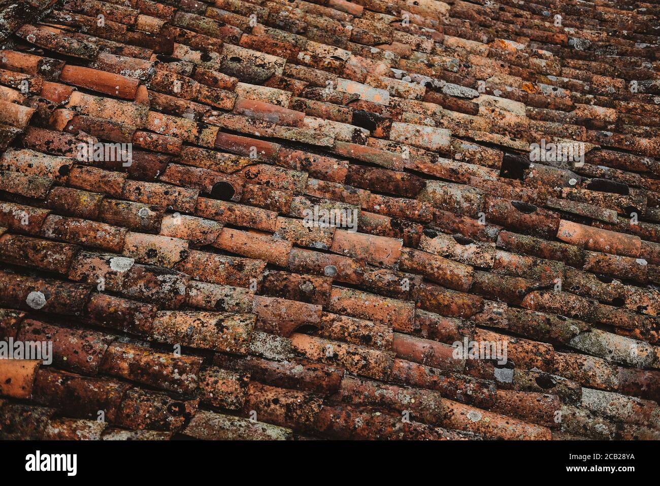Closeup shot of repetitive patterns of old roof tiles with grime Stock Photo