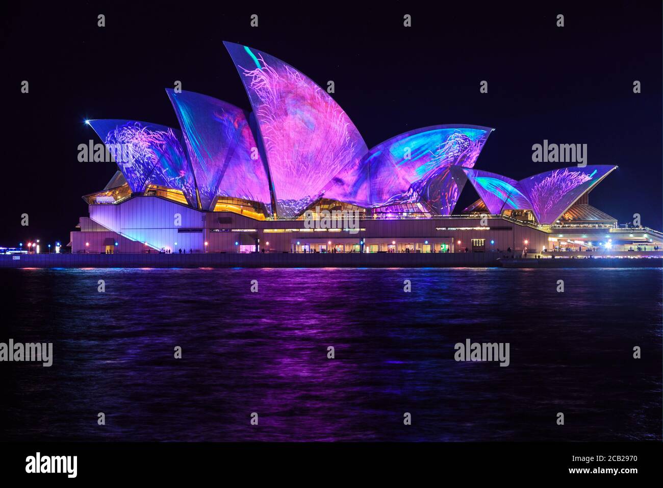 Sydney Australia May 28 2019 The Sydney Opera House At Night Lit sydney-australia-may-28-2019-the-sydney-opera-house-at-night-lit