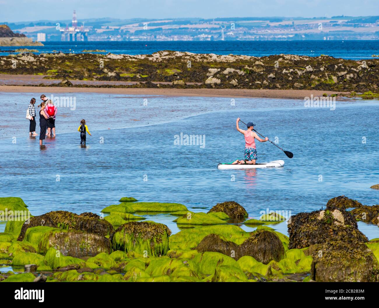 Man paddle boarding on hot Summer day in West Bay with seaweed on rocky shore, North Berwick, East Lothian, Scotland, UK Stock Photo