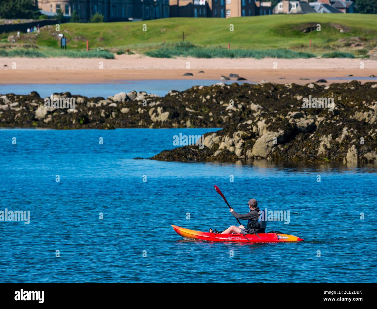 Man paddling a sea kayak in West Bay, on sunny Summer day North Berwick, East Lothian, Scotland, UK Stock Photo