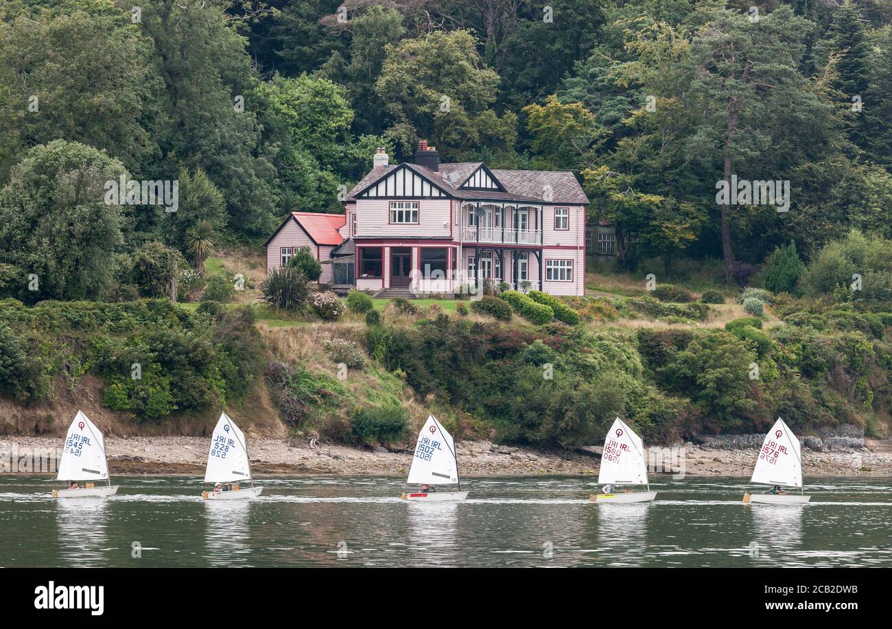 Crosshaven, Cork, Ireland. 10th August, 2020. Five Optimist sailing boats pass the 1920's timber home in Currabinny, on their way for a days training in preparation for the Optimist Irish National Championships which takes place this week at the Royal Cork Yacht Club in Crosshaven, Co. Cork, Ireland. - Credit; David Creedon / Alamy Live News Stock Photo