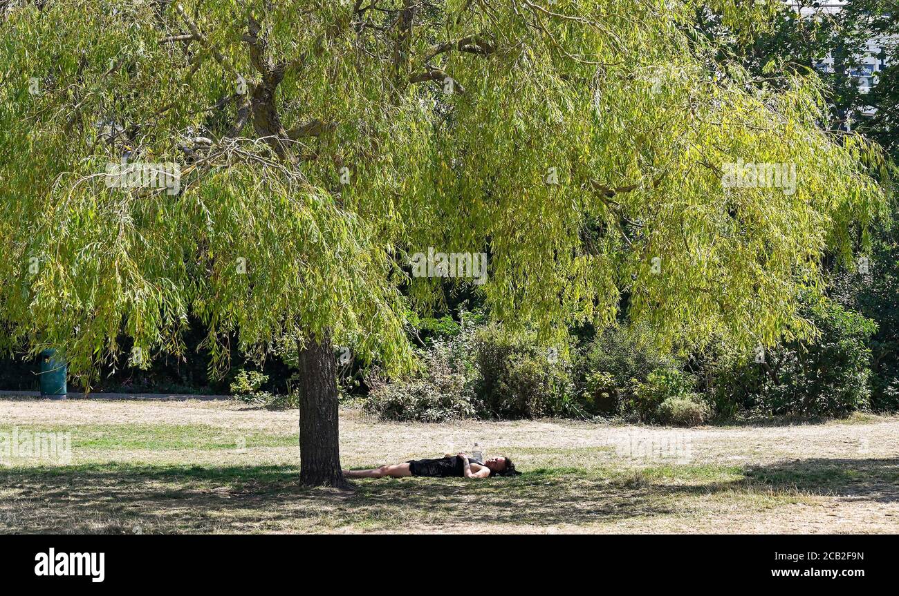 Brighton UK 10th August 2020 - This young woman finds some shade under a tree in Pavilion Gardens Brighton on a hot sunny day as temperatures again reach into  the 30s in parts of the South East : Credit Simon Dack / Alamy Live News Stock Photo
