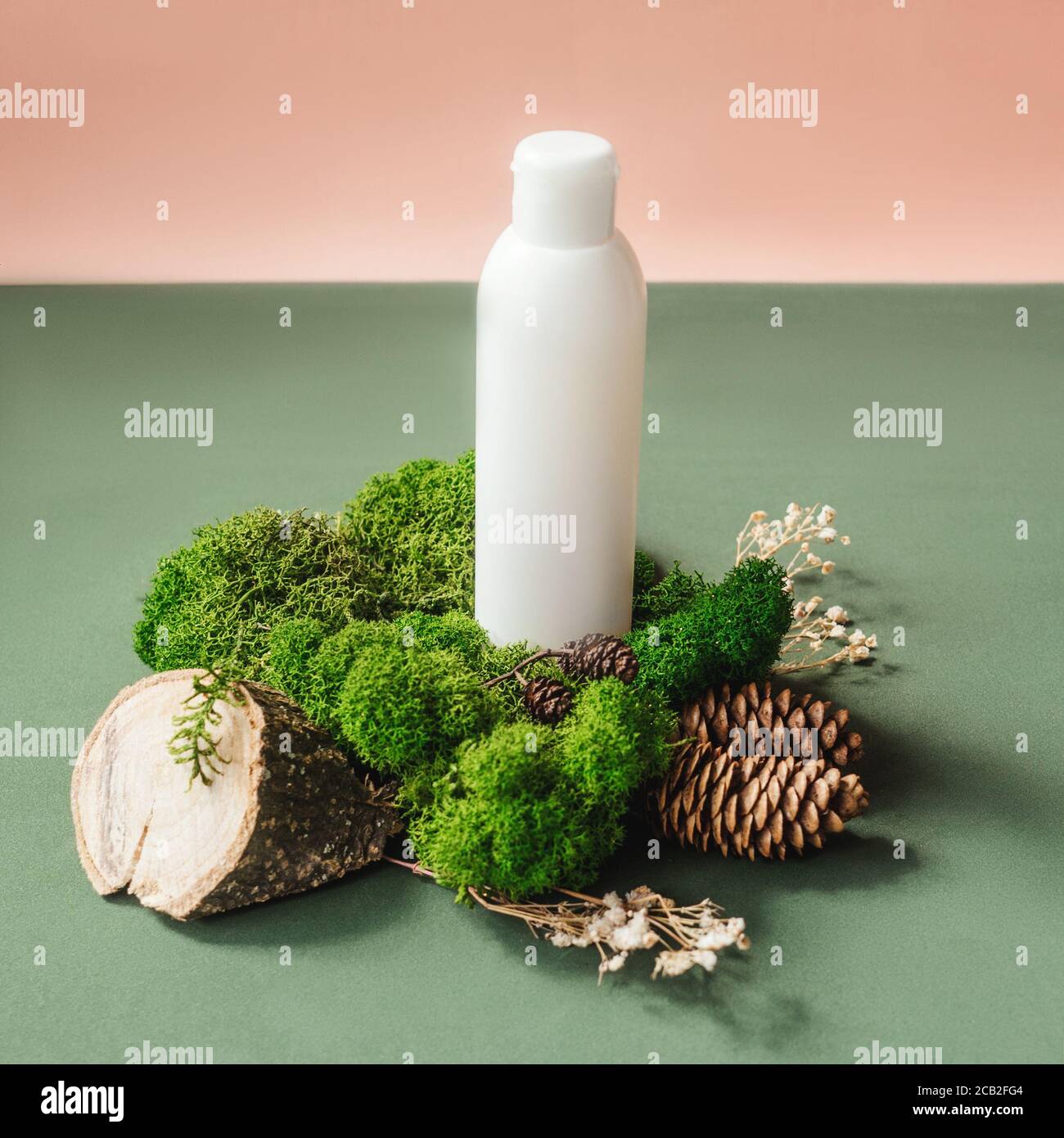 Blank white bottle on green moss. Natural organic cosmetics, alternative medicine, herbal essence, sustainable lifestyle concept. Front view, copy spa Stock Photo
