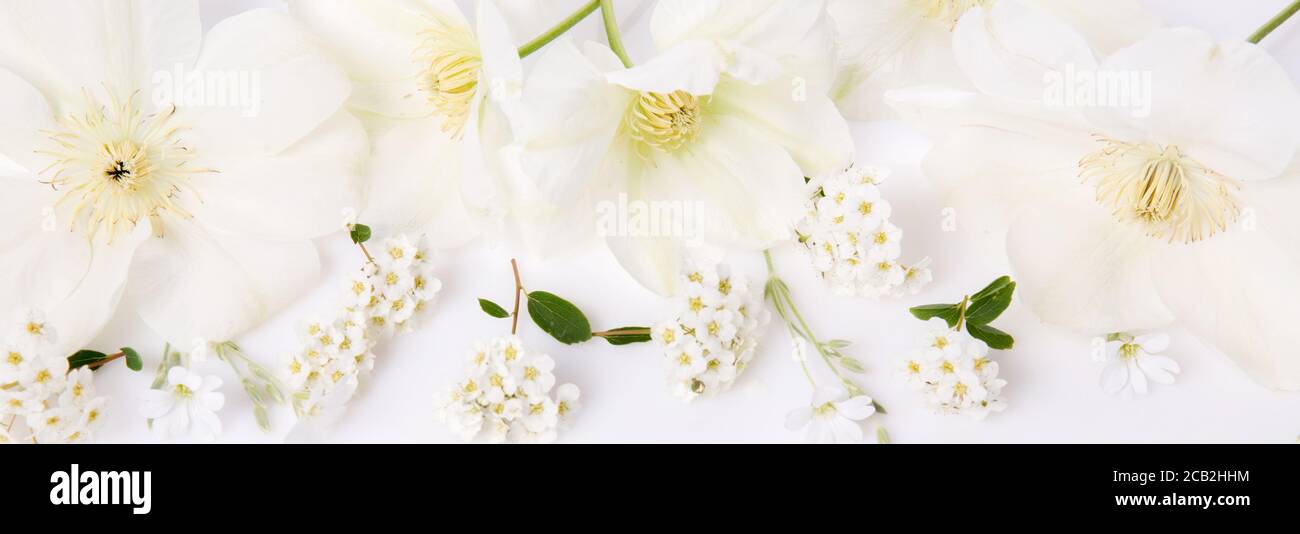 Festive flower composition on the white background. Overhead view Stock Photo