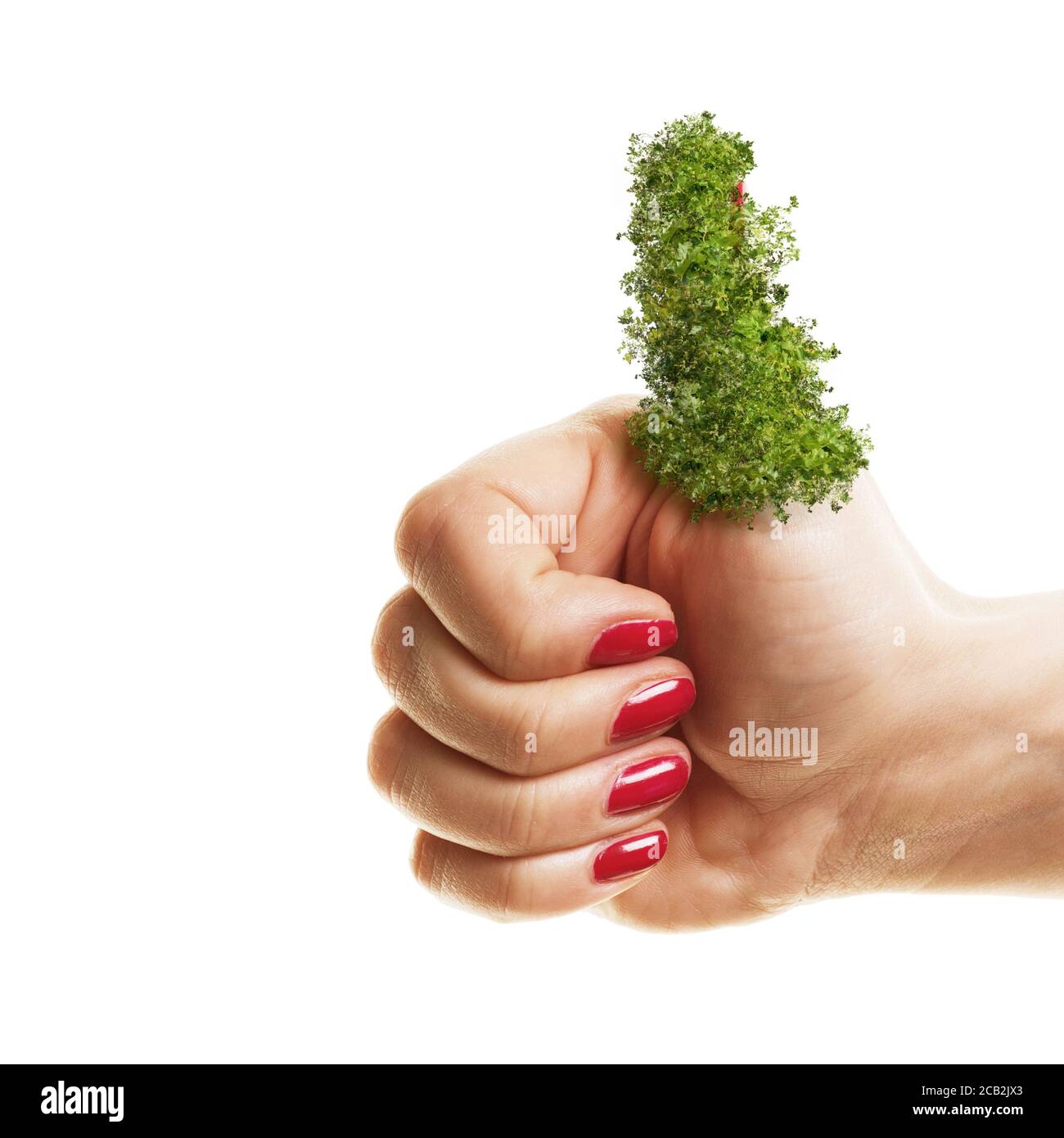 Woman holding her green thumbs up isolated on white background ...
