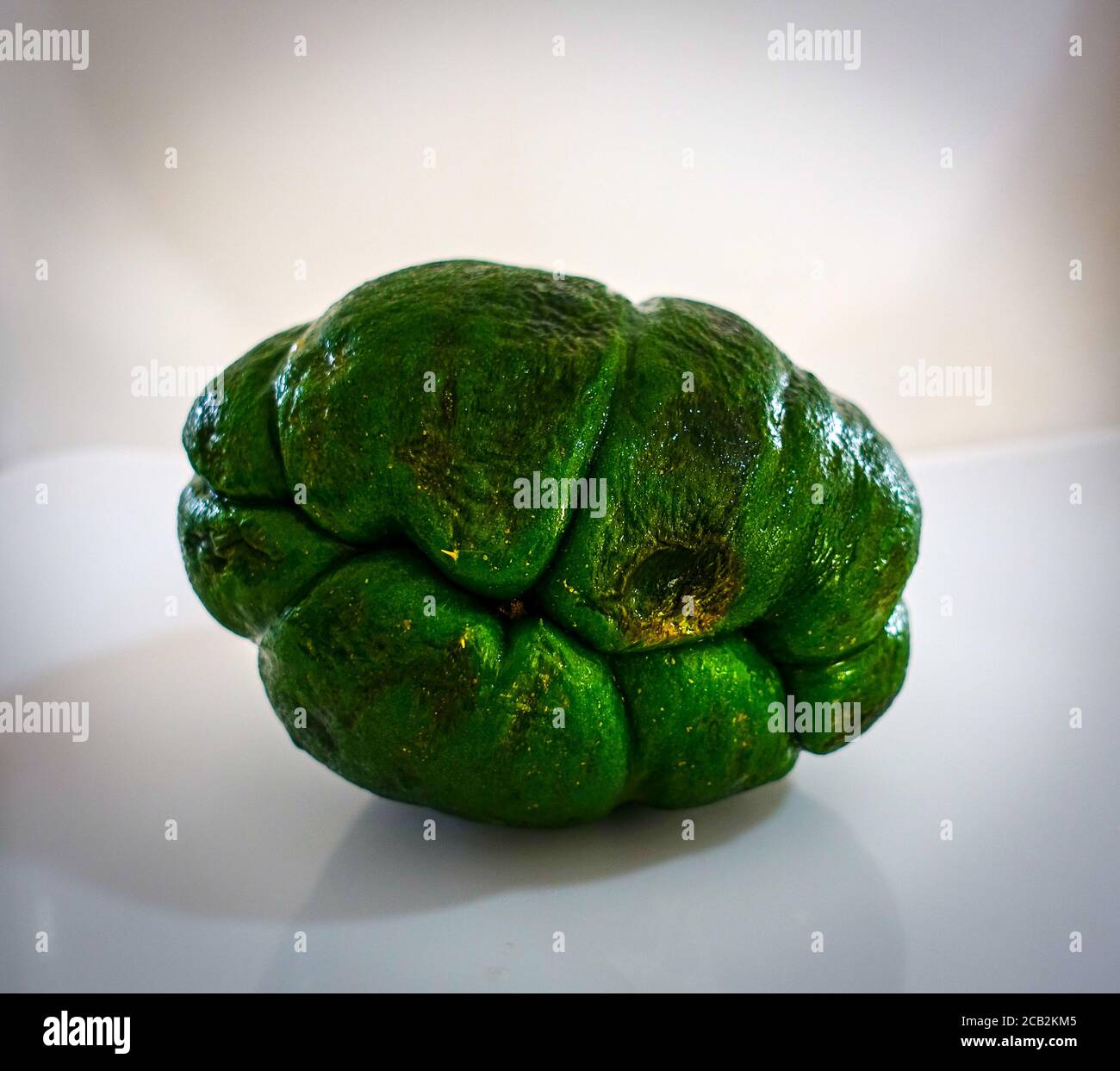 Fresh chayote also known as mirliton and choko; isolated - Dark Green Colombian Fruit Stock Photo