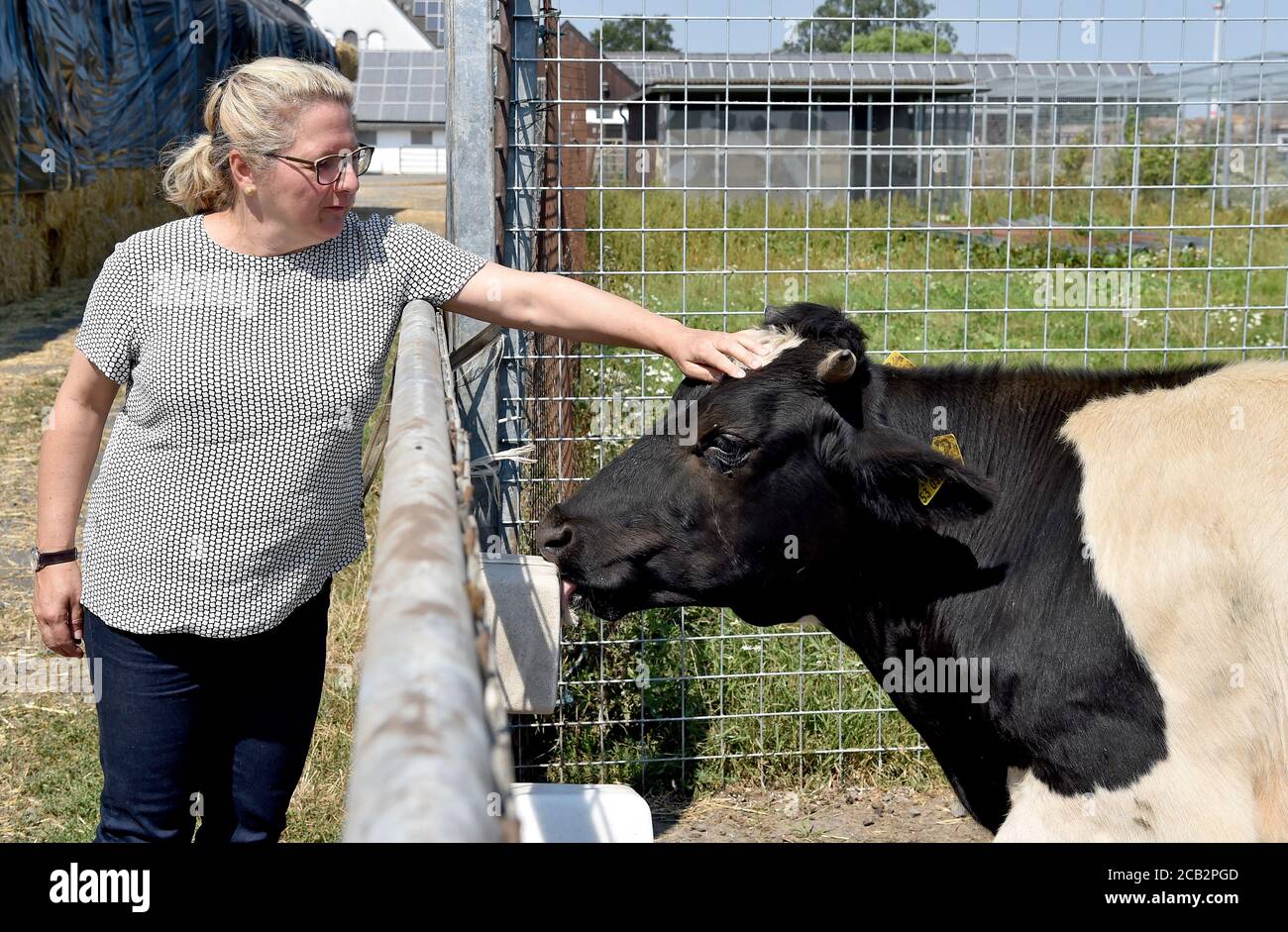 10 August 2020, Germany, Münster: Svenja Schulze, (SPD) Federal Minister of the Environment strokes a German black and white lowland cattle at the Naturland- und Archehof Büning. Together with the deputy chairman of the SPD parliamentary group, Miersch, Federal Environment Minister Schulze (SPD) is a guest in the Münsterland region. Photo: Caroline Seidel/dpa Stock Photo