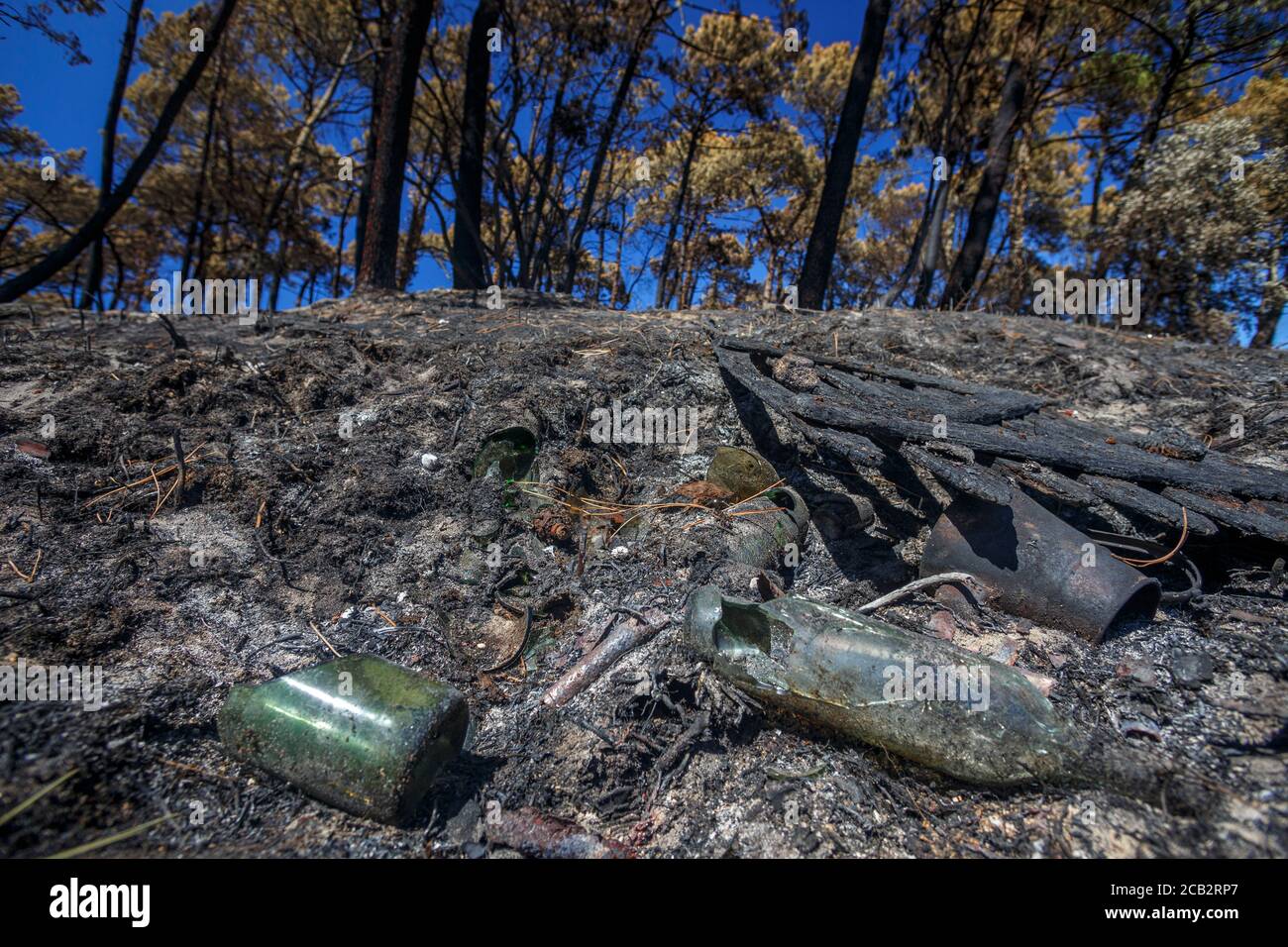 Shards of glass near the Orok Bat stadium, starting point of the Chiberta  forest blaze on July 2020 (Anglet Atlantic Pyrenees France). Wildfire.  Blaze Stock Photo - Alamy