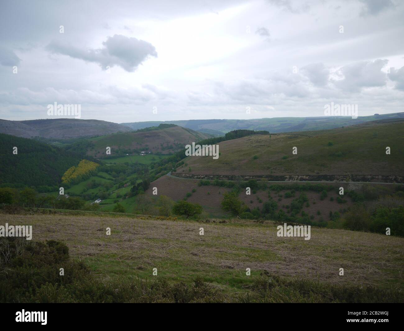 Rural rolling hills green trees hi-res stock photography and images - Alamy