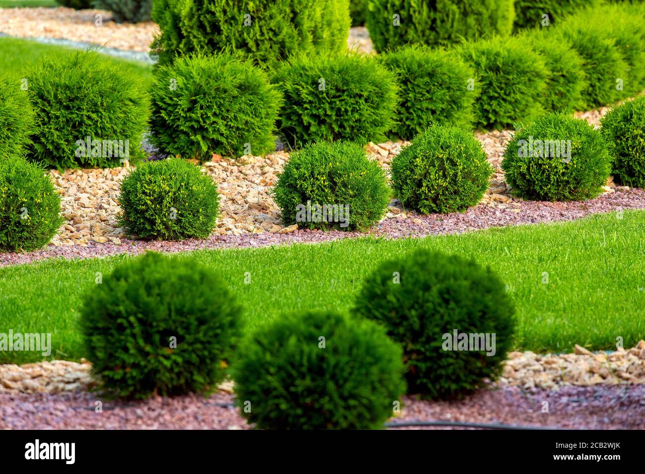 Ornamental Cypress High Resolution Stock Photography and Images - Alamy