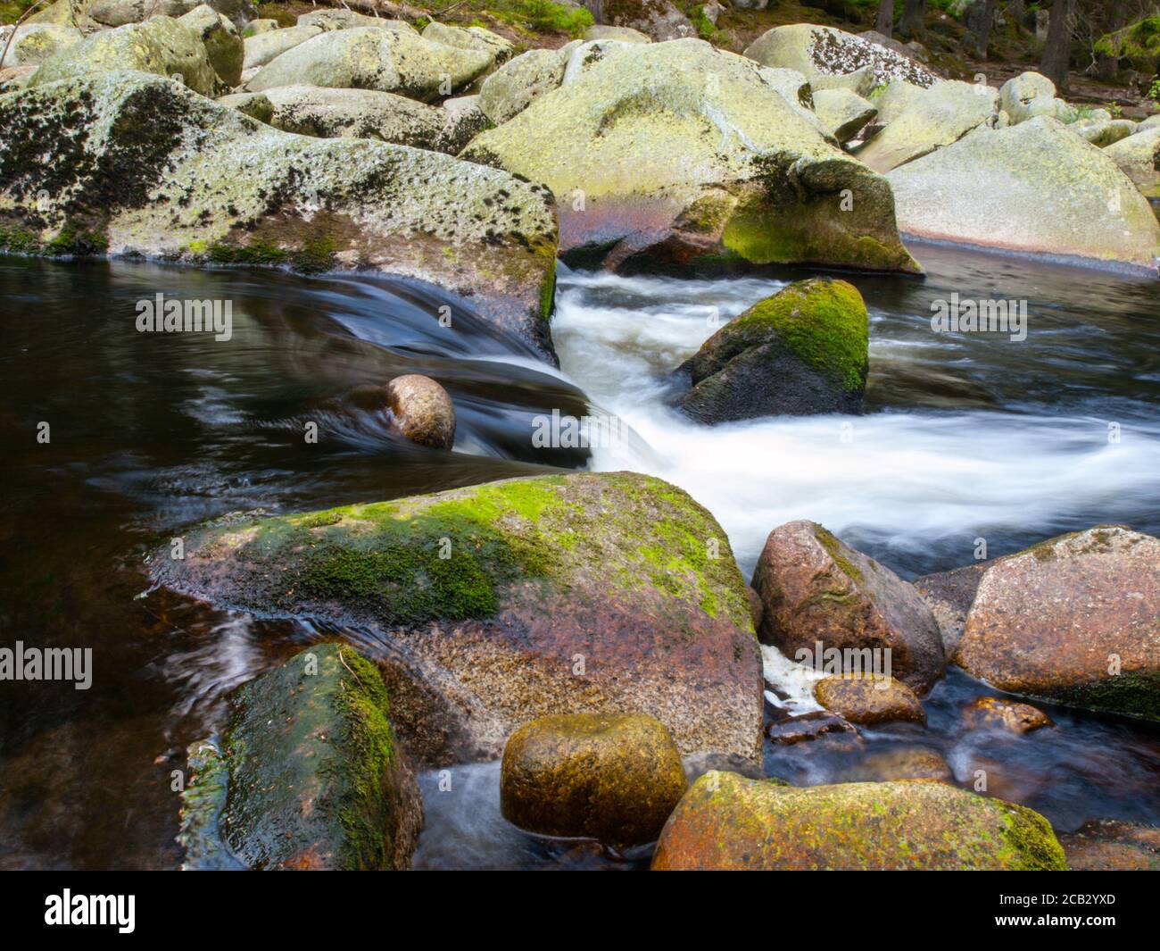 Blurred river stream detail of wild rocky mountain river. Silky effect. Motion rendition effect. Slow shutter speed effect. Long exposure effect. Stock Photo