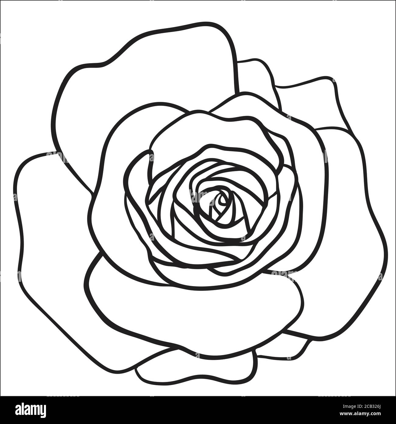 Rose sketch Black outline on white background Stock Vector Image & Art Alamy