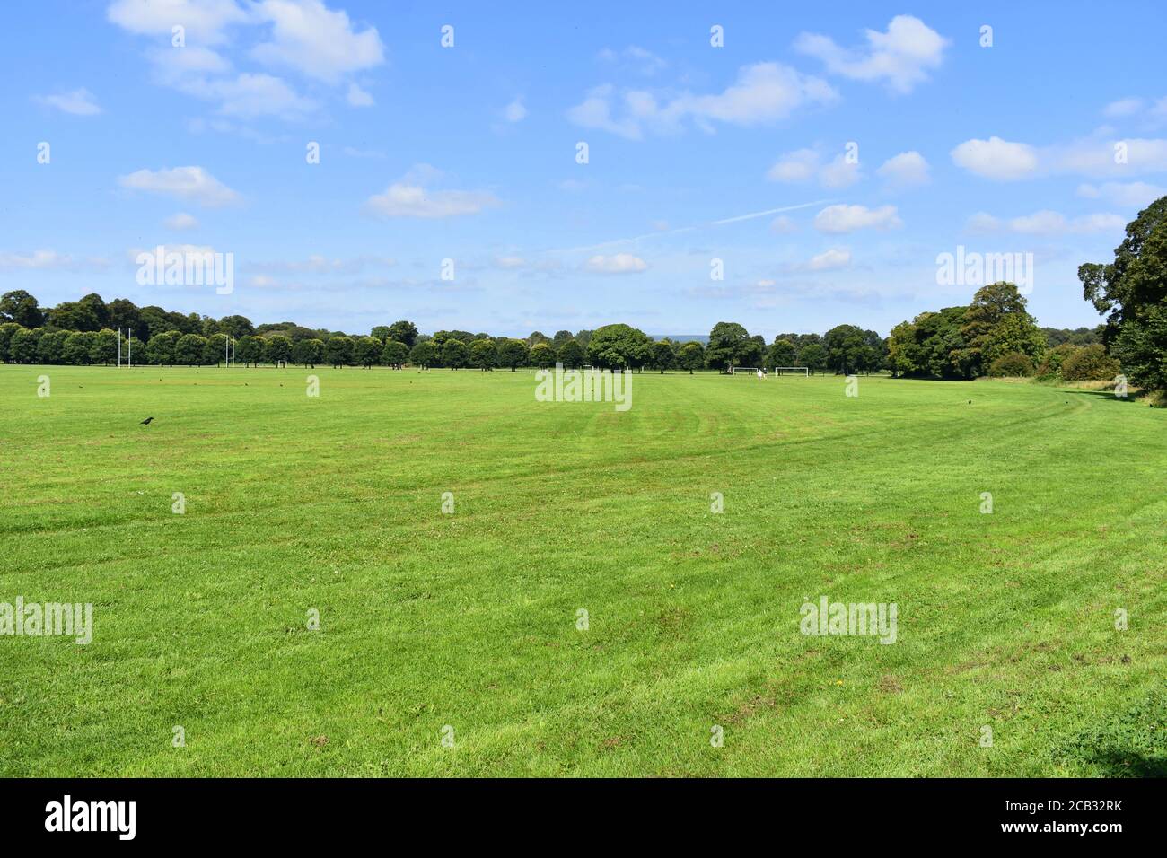 Pontcanna Fields, Cardiff, Wales Stock Photo Alamy