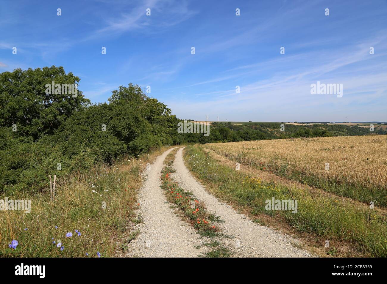Summer landscape with blue sky and clouds Stock Photo - Alamy