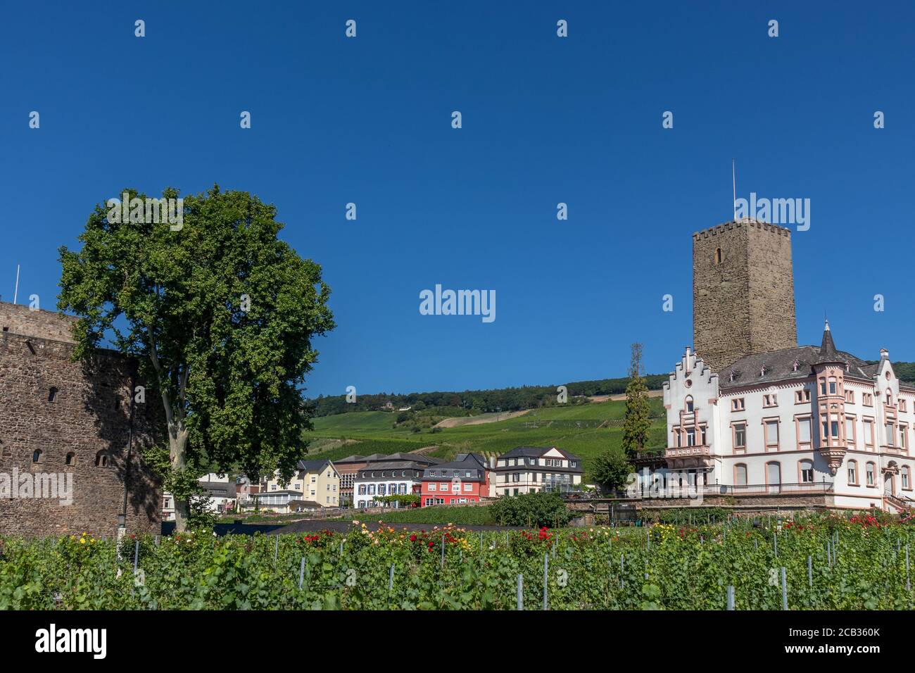 Brömserburg and Boosenburg, two castles in Rüdesheim am Rhein, wine making town in Hesse, Germany Stock Photo
