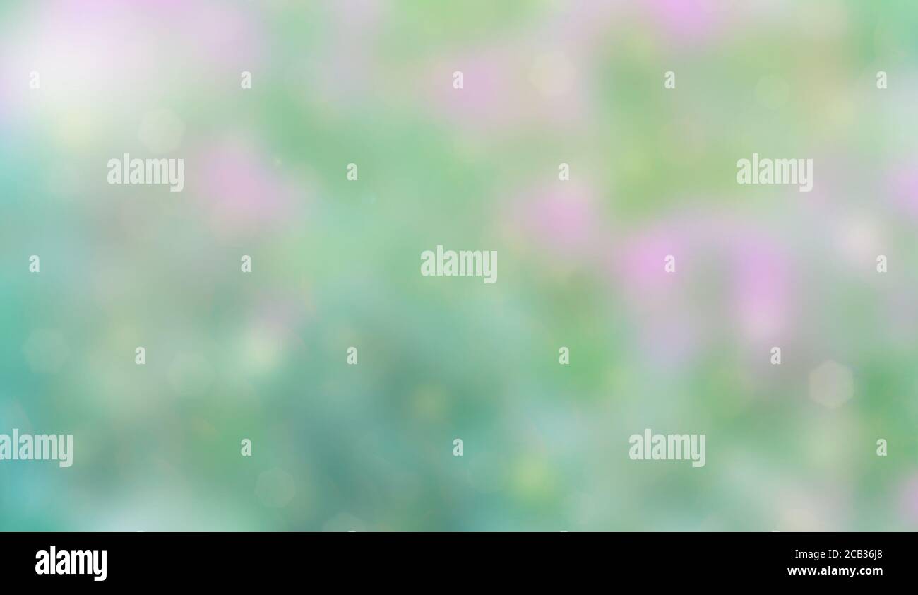 Abstract nature background. Green and pink bokeh. Defocus Stock Photo