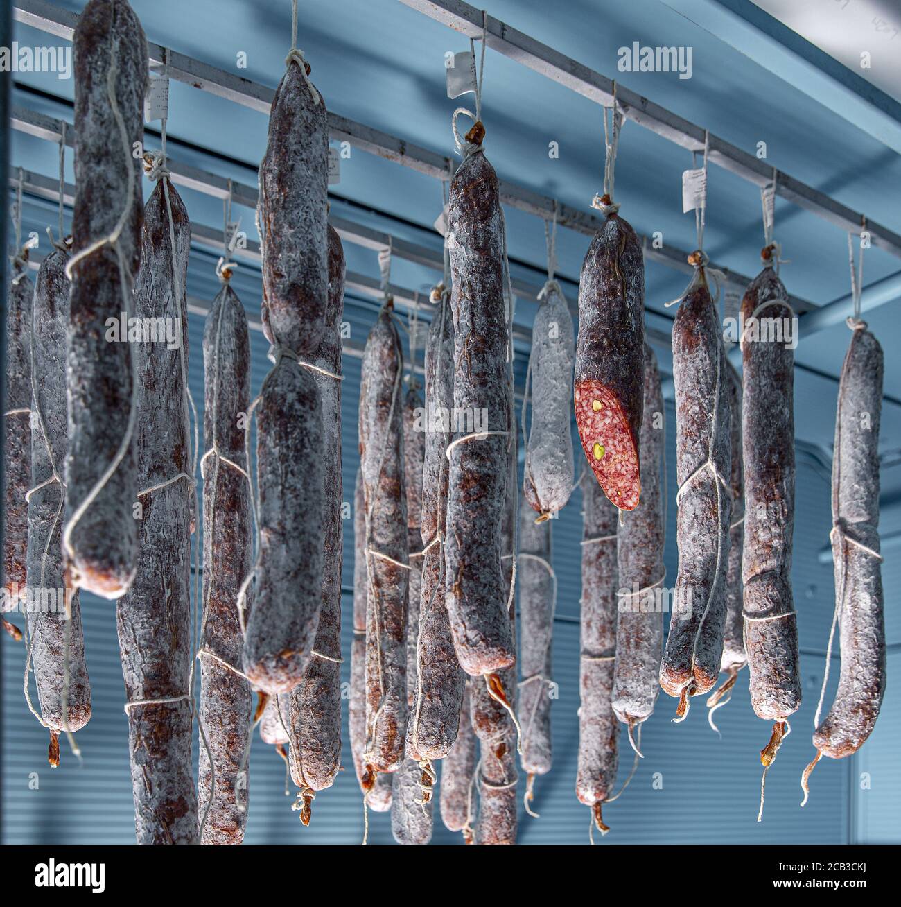 gourmet food warehouse