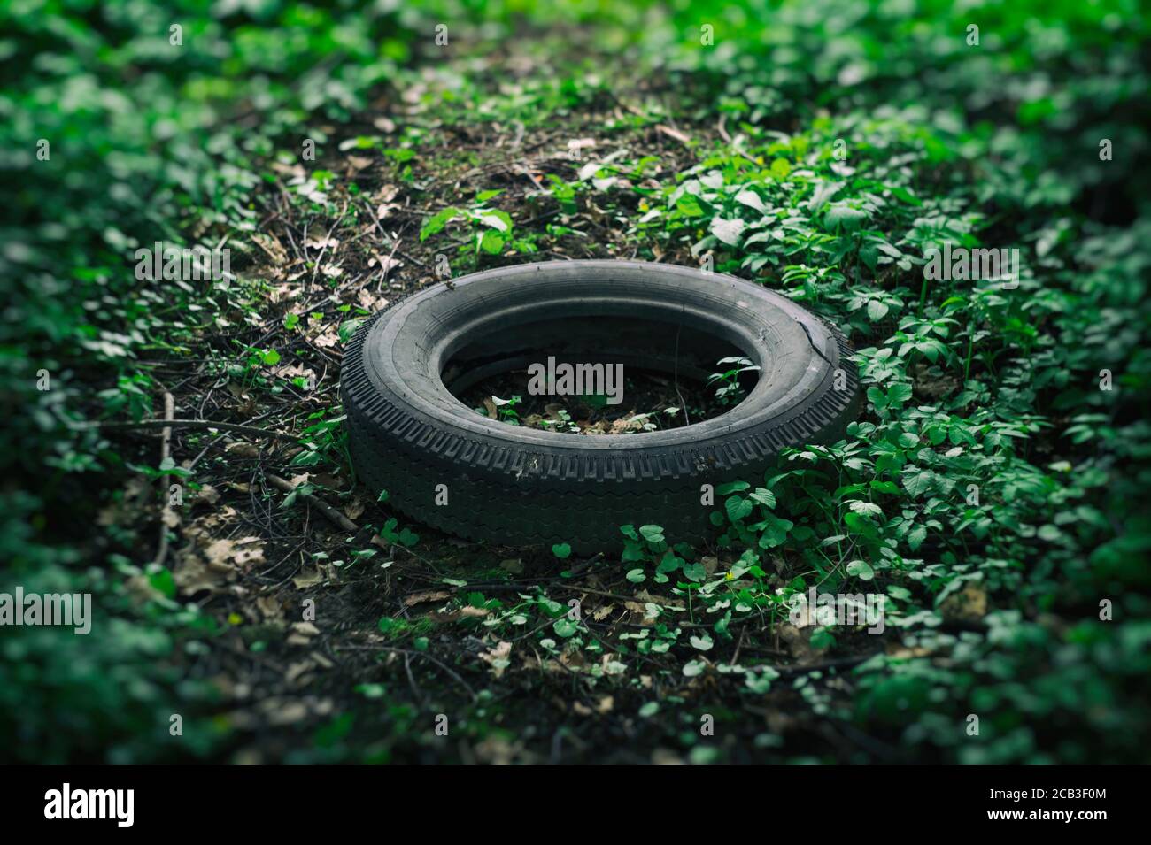 Illegal dumping in the nature. Old tire / tyre is tipped on the grass in the nature. Ecological problem of discarding waste on illegal place and spot Stock Photo