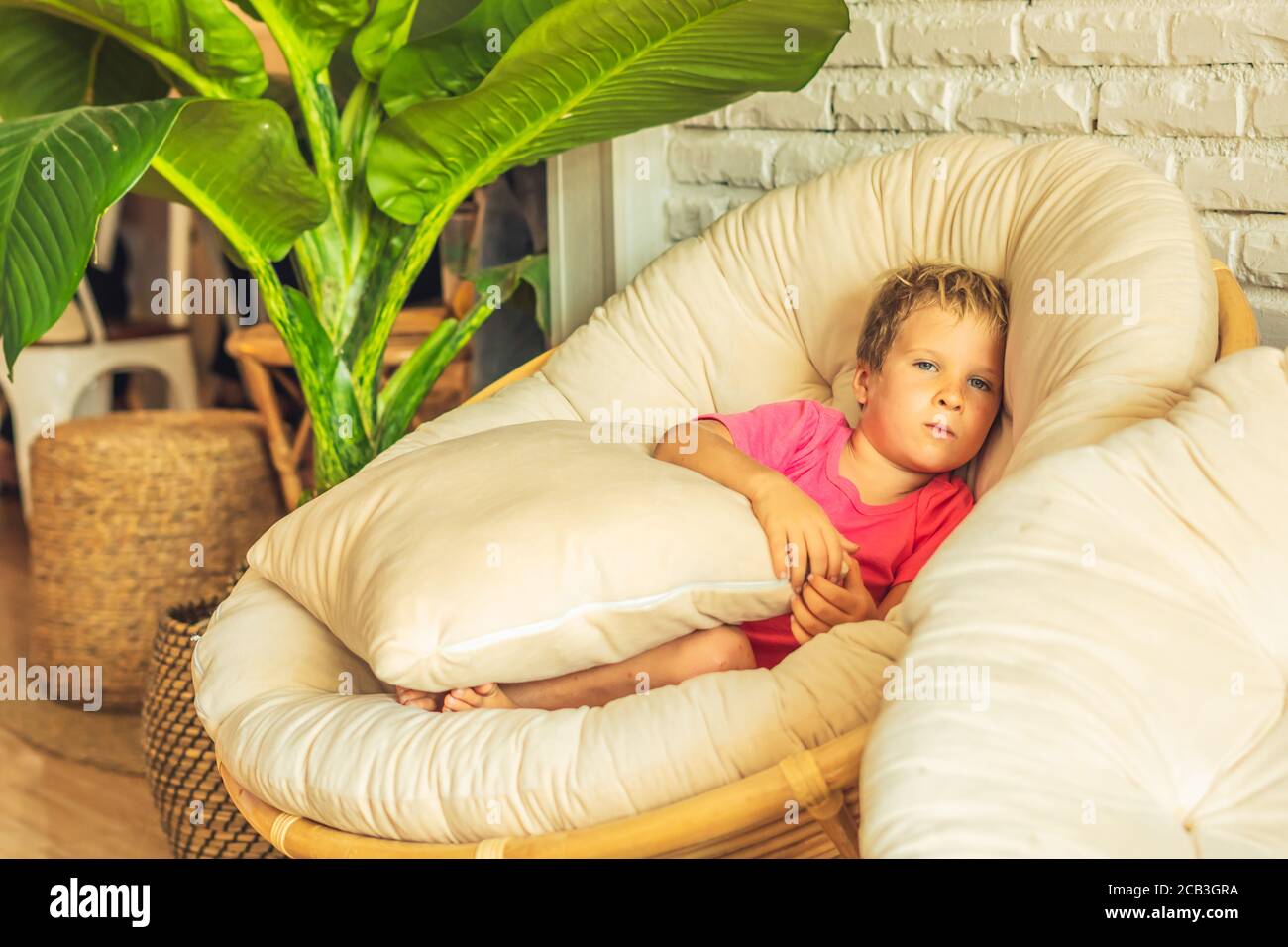 https://c8.alamy.com/comp/2CB3GRA/blond-pouting-offended-upset-or-scare-boy-in-pink-tshirt-tucked-knees-sit-under-pillow-in-a-round-fashionable-chair-in-living-room-in-a-house-indoor-2CB3GRA.jpg