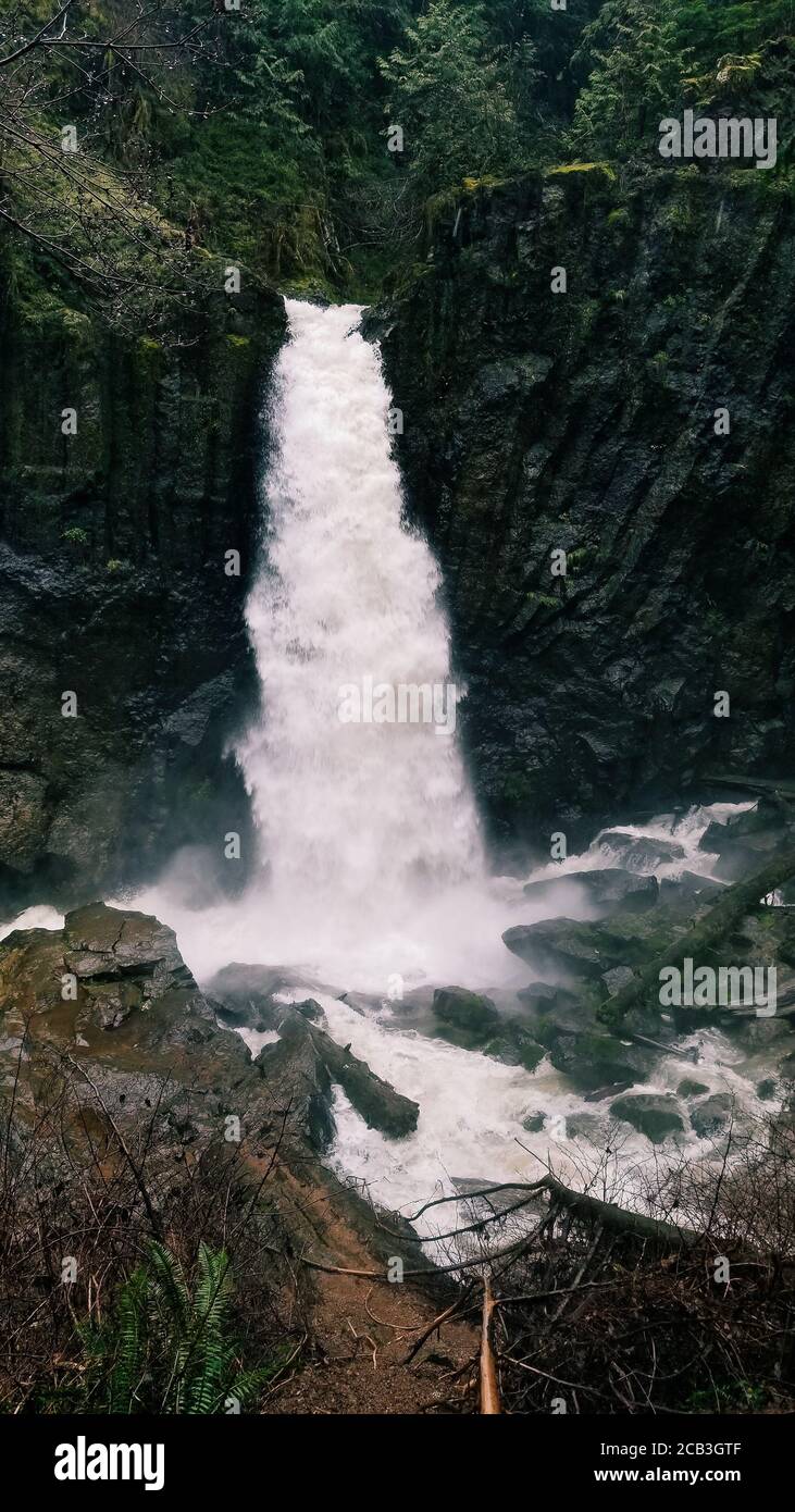 Vertical shot of waterfalls in the middle of the forest Stock Photo - Alamy