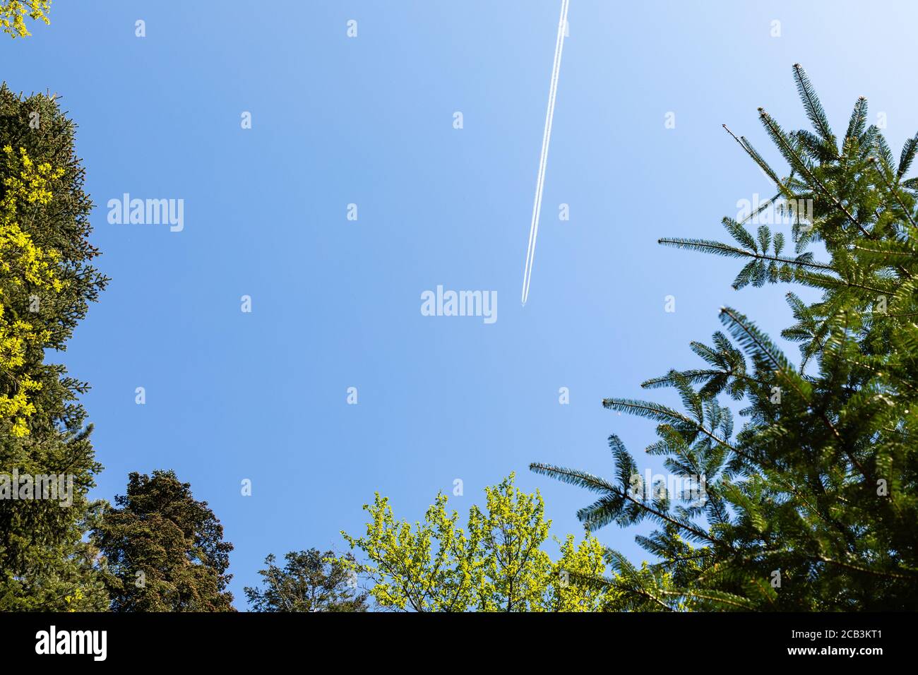 High contrast aircraft hi-res stock photography and images - Alamy