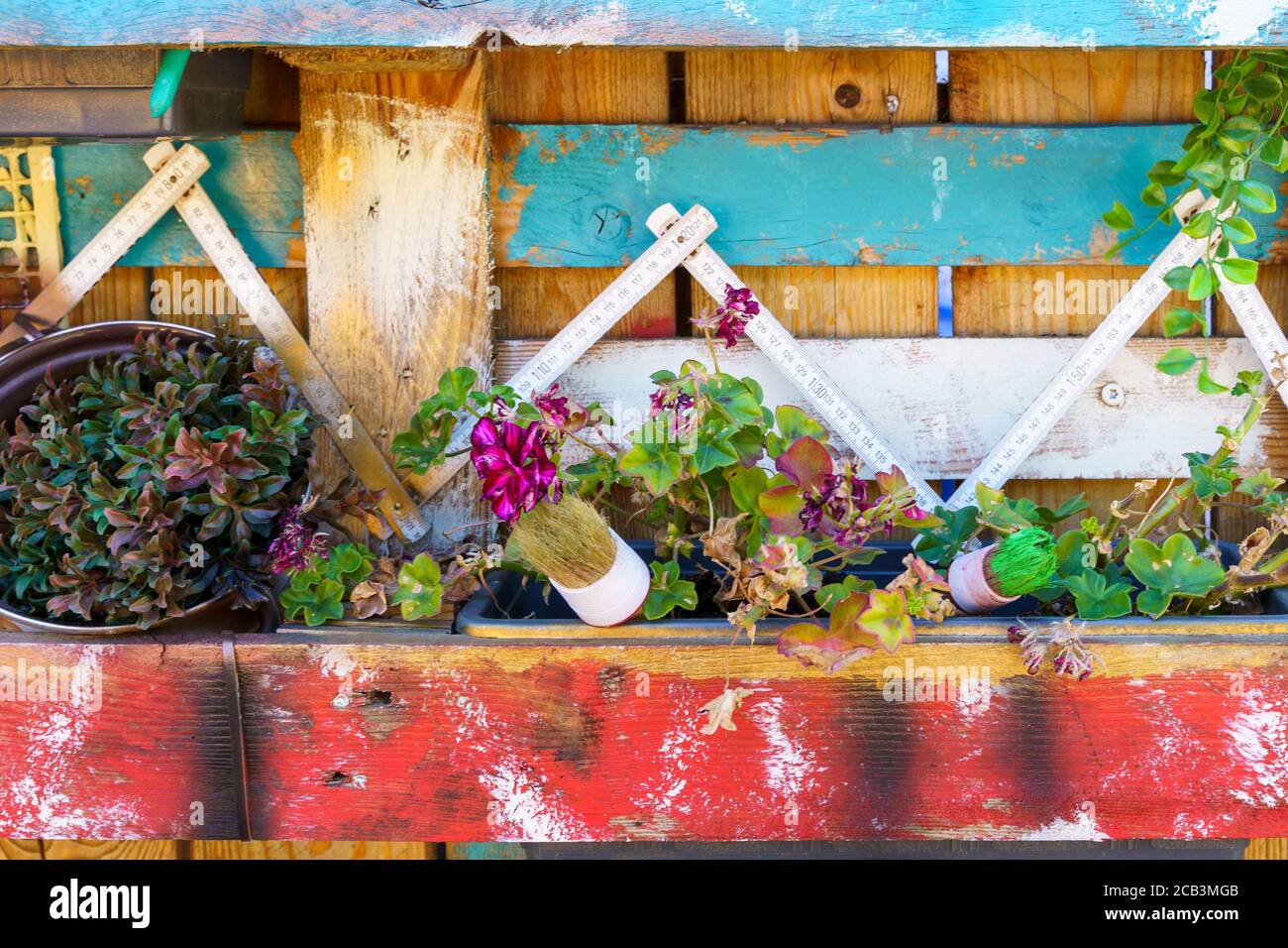 Garden fence from inside covered with flowers and climbing plants Stock ...