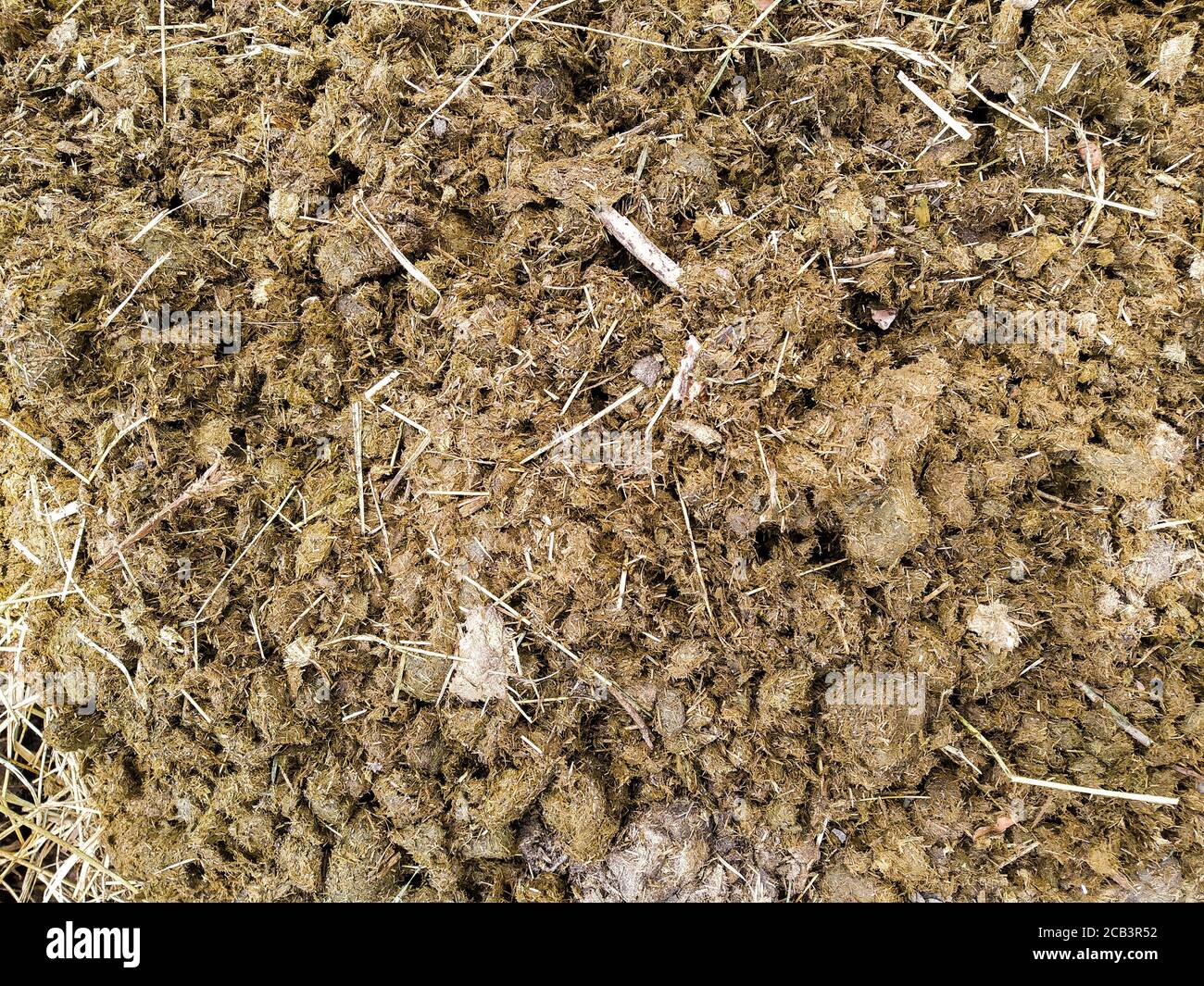 Horse dung mixed with hay and sawdust Stock Photo Alamy