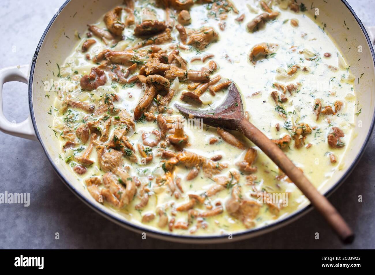 Chanterelle with white wine cream sauce Stock Photo Alamy