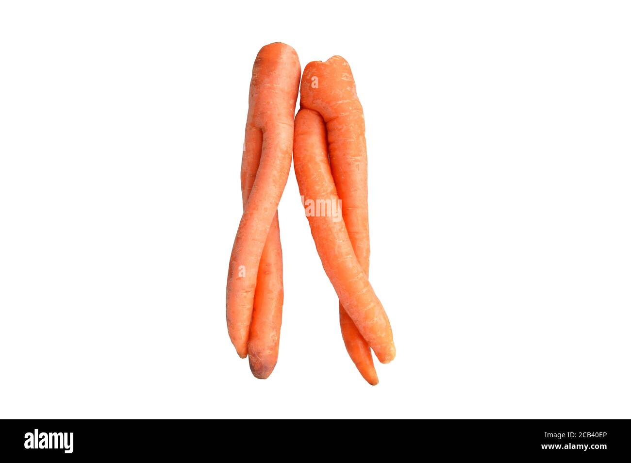 Human shaped carrot couple standing side by side Stock Photo