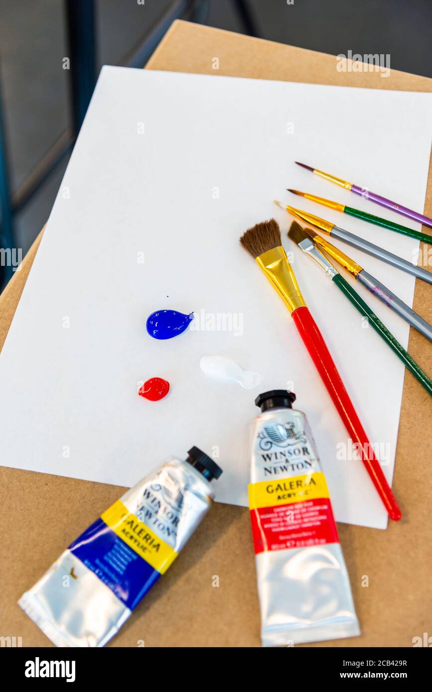 The Best Student and Beginner Oil Paints for Getting to Know the Medium –